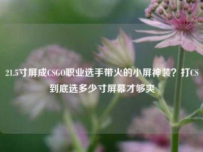 21.5寸屏成CSGO职业选手带火的小屏神装？打CS到底选多少寸屏幕才够爽