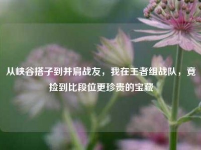 从峡谷搭子到并肩战友，我在王者组战队，竟捡到比段位更珍贵的宝藏