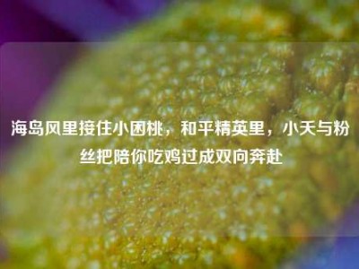 海岛风里接住小困桃，和平精英里，小夭与粉丝把陪你吃鸡过成双向奔赴