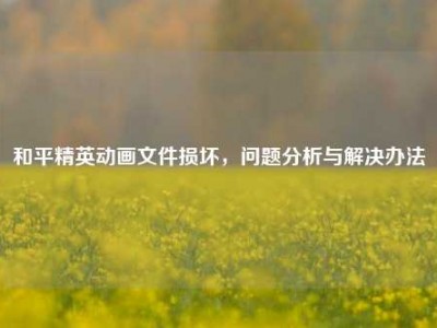 和平精英动画文件损坏，问题分析与解决办法