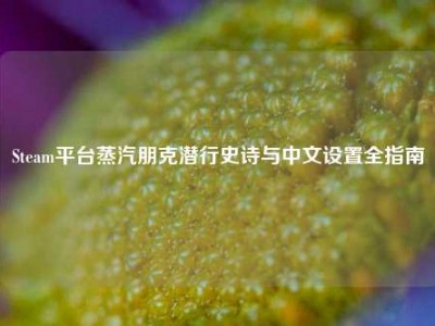 Steam平台蒸汽朋克潜行史诗与中文设置全指南