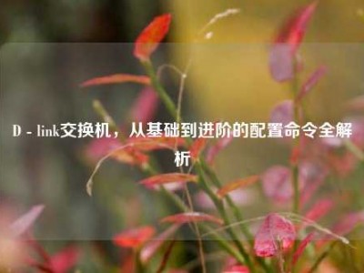 D - link交换机，从基础到进阶的配置命令全解析