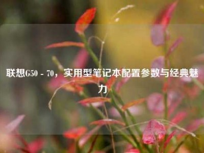 联想G50 - 70，实用型笔记本配置参数与经典魅力
