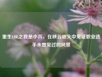 重生LOL之我是小兵，在峡谷炮火中见证职业选手未曾见过的风景