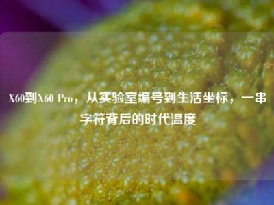 X60到X60 Pro，从实验室编号到生活坐标，一串字符背后的时代温度