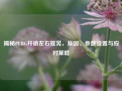 揭秘PUBG开镜左右摇晃，原因、参数设置与应对策略