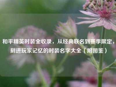 和平精英时装全收录，从经典联名到赛季限定，刻进玩家记忆的时装名字大全（附图鉴）
