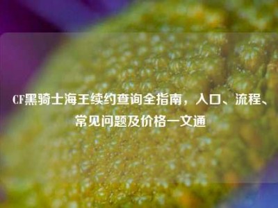 CF黑骑士海王续约查询全指南，入口、流程、常见问题及价格一文通