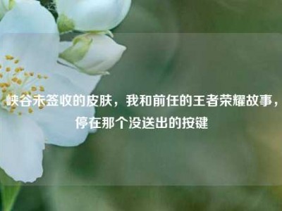 峡谷未签收的皮肤，我和前任的王者荣耀故事，停在那个没送出的按键