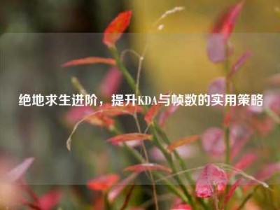 绝地求生进阶，提升KDA与帧数的实用策略