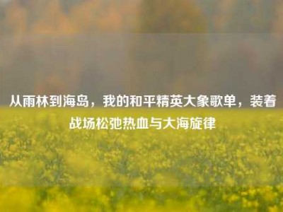 从雨林到海岛，我的和平精英大象歌单，装着战场松弛热血与大海旋律
