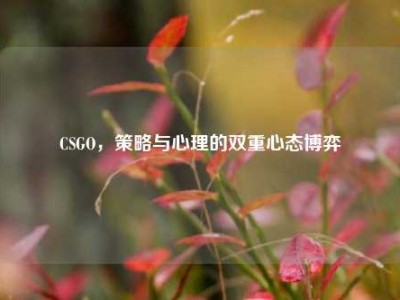 CSGO，策略与心理的双重心态博弈