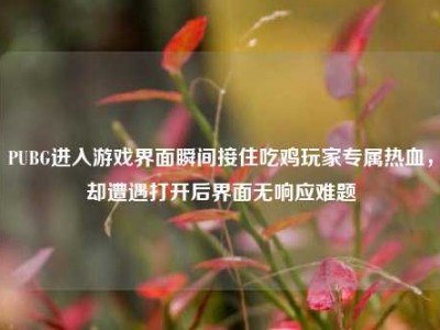 PUBG进入游戏界面瞬间接住吃鸡玩家专属热血，却遭遇打开后界面无响应难题
