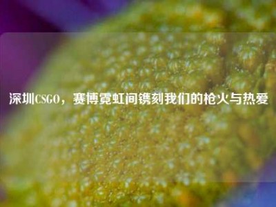 深圳CSGO，赛博霓虹间镌刻我们的枪火与热爱