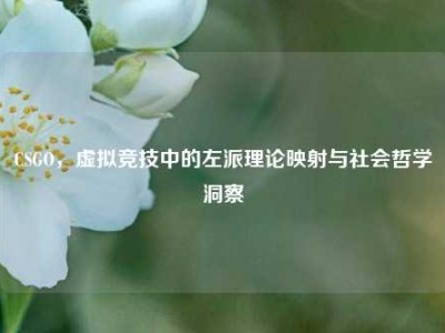 CSGO，虚拟竞技中的左派理论映射与社会哲学洞察