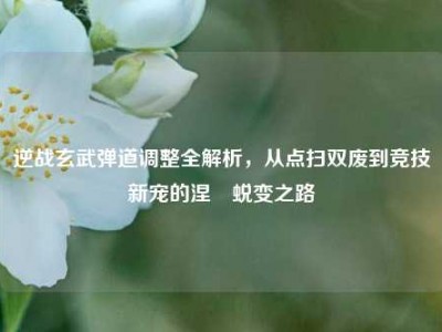 逆战玄武弹道调整全解析，从点扫双废到竞技新宠的涅槃蜕变之路