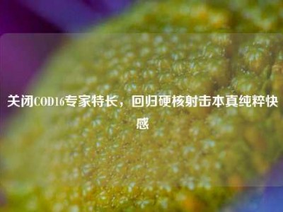 关闭COD16专家特长，回归硬核射击本真纯粹快感
