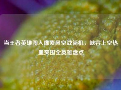 当王者英雄闯入像素风空战街机，峡谷上空热血突围全英雄盘点