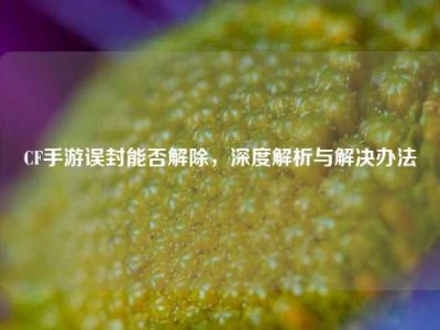 CF手游误封能否解除，深度解析与解决办法