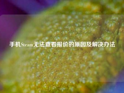 手机Steam无法查看报价的原因及解决办法