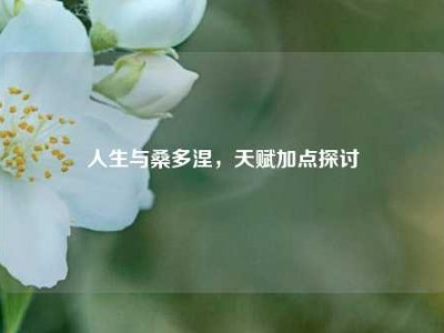人生与桑多涅，天赋加点探讨