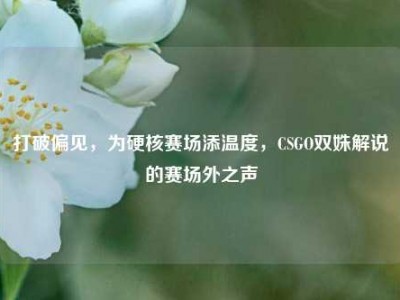 打破偏见，为硬核赛场添温度，CSGO双姝解说的赛场外之声