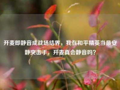 开麦即静音成战场结界，我在和平精英当最安静突击手，开麦真会静音吗？