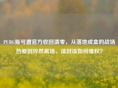 PUBG账号遭官方收回清零，从落地成盒的战场热爱到猝然离场，误封该如何维权？