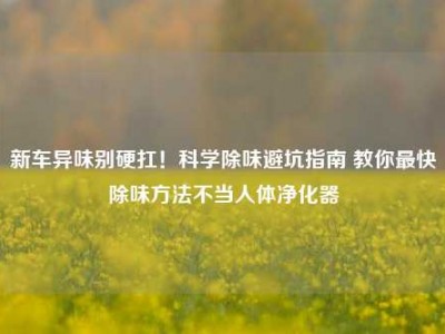 新车异味别硬扛！科学除味避坑指南 教你最快除味方法不当人体净化器