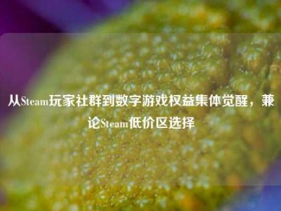 从Steam玩家社群到数字游戏权益集体觉醒，兼论Steam低价区选择