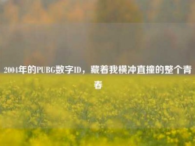 2004年的PUBG数字ID，藏着我横冲直撞的整个青春