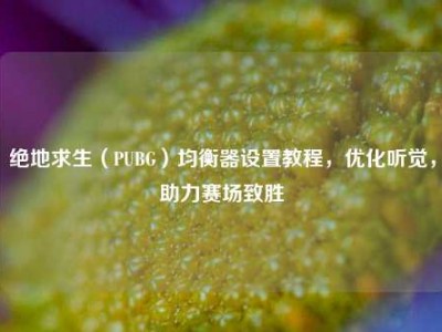 绝地求生（PUBG）均衡器设置教程，优化听觉，助力赛场致胜