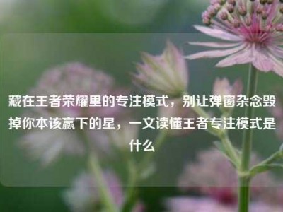 藏在王者荣耀里的专注模式，别让弹窗杂念毁掉你本该赢下的星，一文读懂王者专注模式是什么