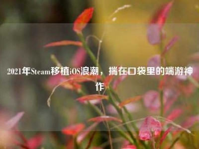 2021年Steam移植iOS浪潮，揣在口袋里的端游神作