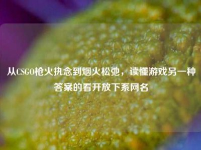 从CSGO枪火执念到烟火松弛，读懂游戏另一种答案的看开放下系网名