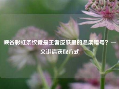 峡谷彩虹条纹竟是王者皮肤里的温柔暗号？一文讲清获取方式