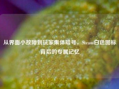 从界面小故障到玩家集体暗号，Steam白色图标背后的专属记忆