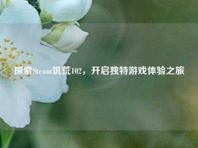 探索Steam饥荒102，开启独特游戏体验之旅
