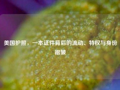 美国护照，一本证件背后的流动、特权与身份褶皱