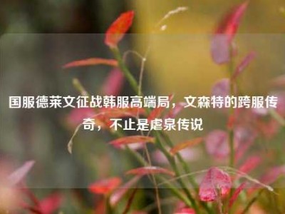 国服德莱文征战韩服高端局，文森特的跨服传奇，不止是虐泉传说