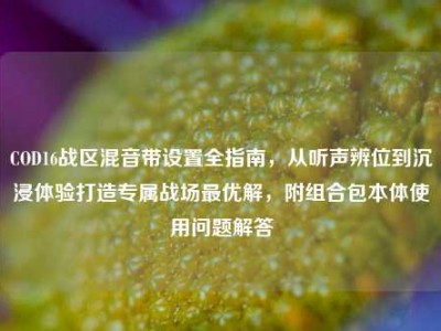 COD16战区混音带设置全指南，从听声辨位到沉浸体验打造专属战场最优解，附组合包本体使用问题解答