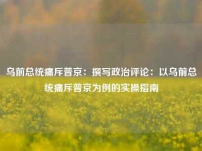 乌前总统痛斥普京：撰写政治评论：以乌前总统痛斥普京为例的实操指南