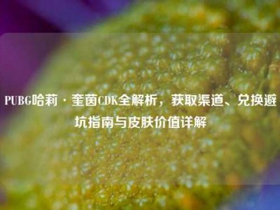 PUBG哈莉·奎茵CDK全解析，获取渠道、兑换避坑指南与皮肤价值详解