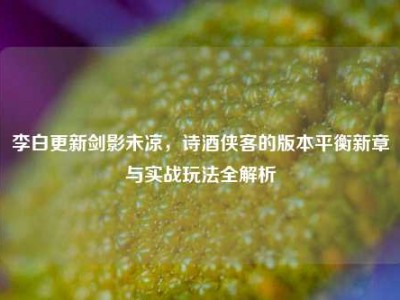 李白更新剑影未凉，诗酒侠客的版本平衡新章与实战玩法全解析