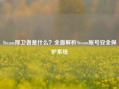 Steam捍卫者是什么？全面解析Steam账号安全保护系统