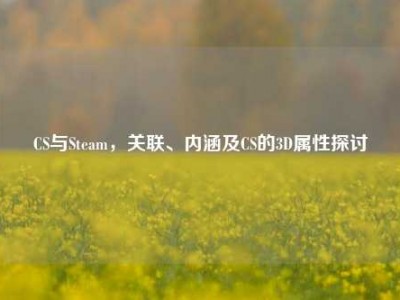CS与Steam，关联、内涵及CS的3D属性探讨