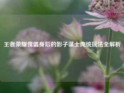 王者荣耀傀儡身后的影子谋士庞统玩法全解析