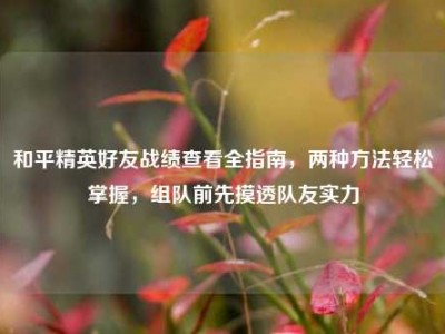 和平精英好友战绩查看全指南，两种方法轻松掌握，组队前先摸透队友实力