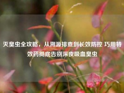 灭臭虫全攻略，从溯源排查到长效防控 巧用特效药彻底告别深夜吸血臭虫