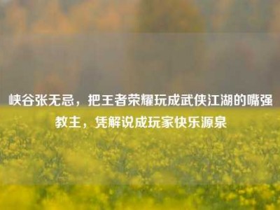 峡谷张无忌，把王者荣耀玩成武侠江湖的嘴强教主，凭解说成玩家快乐源泉